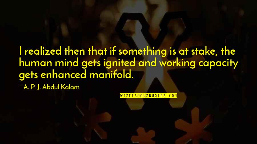 Human Capacity Quotes By A. P. J. Abdul Kalam: I realized then that if something is at