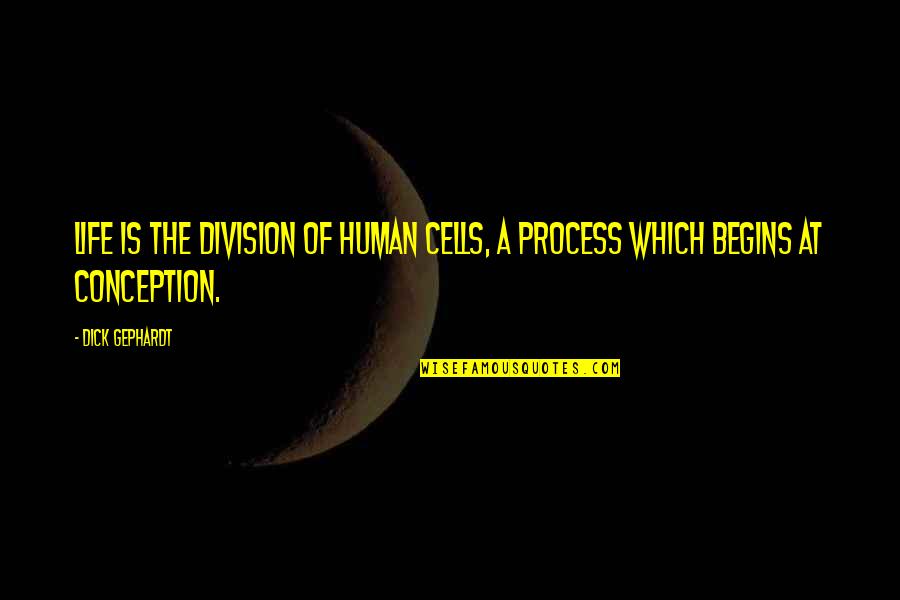 Human Cells Quotes By Dick Gephardt: Life is the division of human cells, a