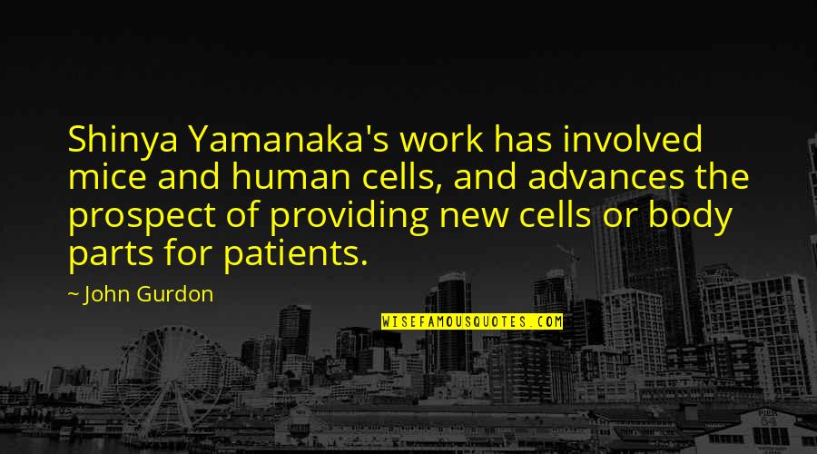 Human Cells Quotes By John Gurdon: Shinya Yamanaka's work has involved mice and human