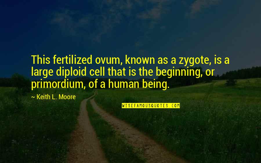 Human Cells Quotes By Keith L. Moore: This fertilized ovum, known as a zygote, is