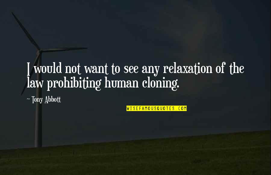 Human Cloning Quotes By Tony Abbott: I would not want to see any relaxation
