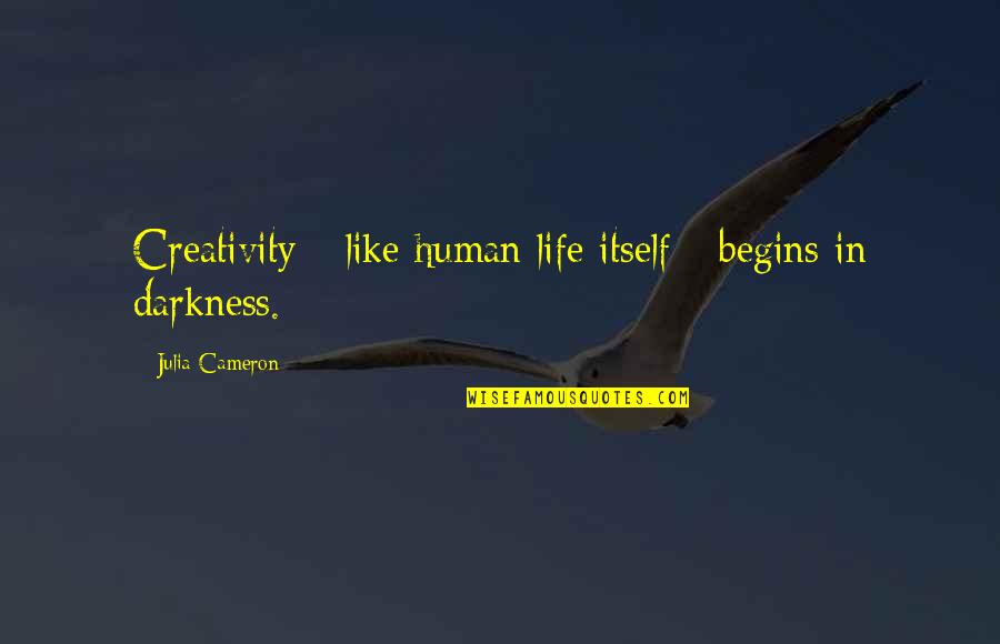 Human Darkness Quotes By Julia Cameron: Creativity - like human life itself - begins