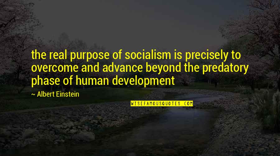 Human Development Quotes By Albert Einstein: the real purpose of socialism is precisely to