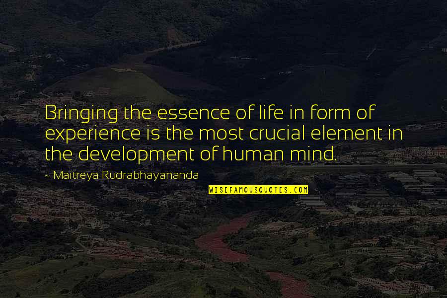 Human Essence Quotes By Maitreya Rudrabhayananda: Bringing the essence of life in form of