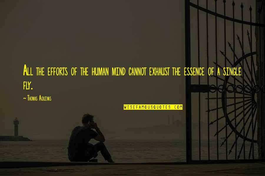 Human Essence Quotes By Thomas Aquinas: All the efforts of the human mind cannot