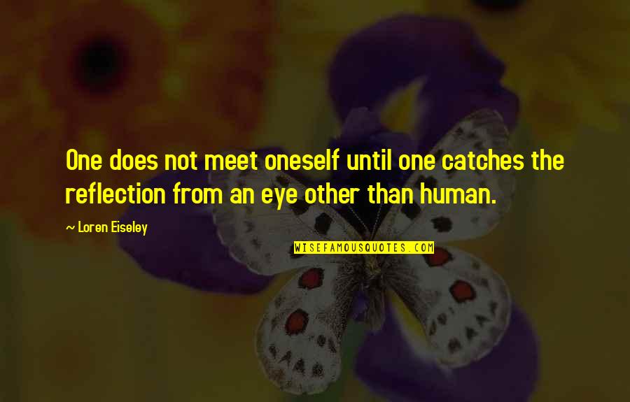 Human Eye Quotes By Loren Eiseley: One does not meet oneself until one catches