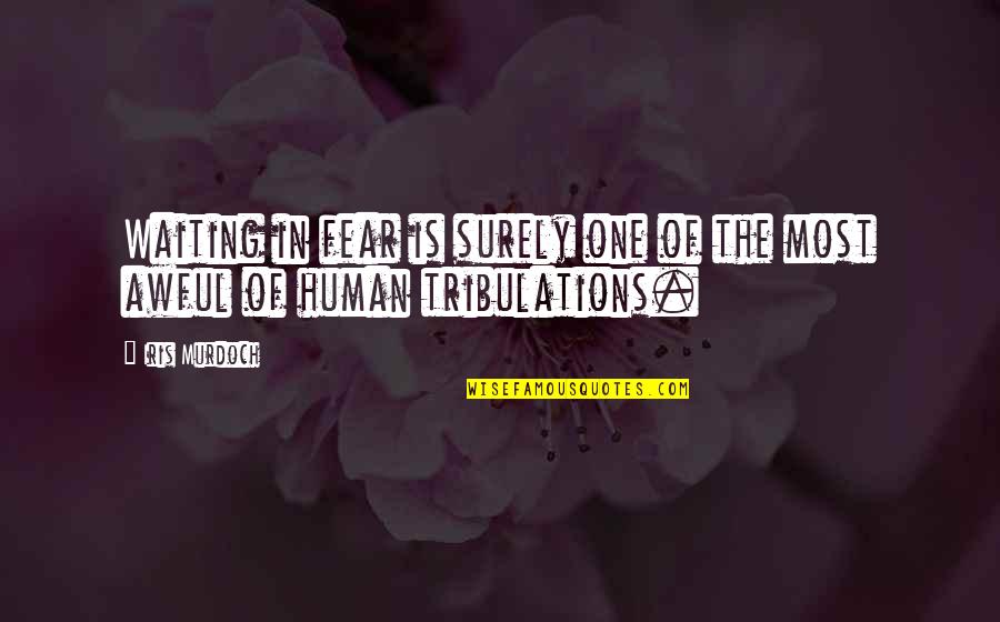 Human Fear Quotes By Iris Murdoch: Waiting in fear is surely one of the
