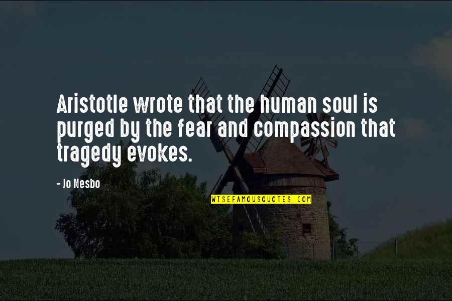Human Fear Quotes By Jo Nesbo: Aristotle wrote that the human soul is purged