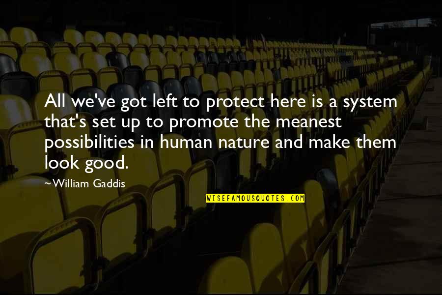 Human Good Nature Quotes By William Gaddis: All we've got left to protect here is