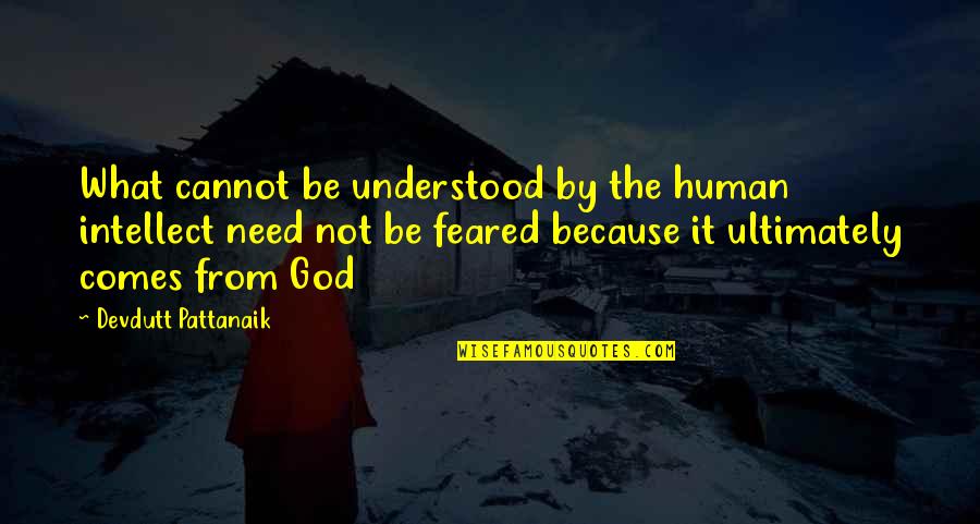 Human Intellect Quotes By Devdutt Pattanaik: What cannot be understood by the human intellect