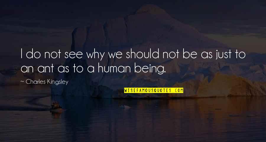Human Justice Quotes By Charles Kingsley: I do not see why we should not