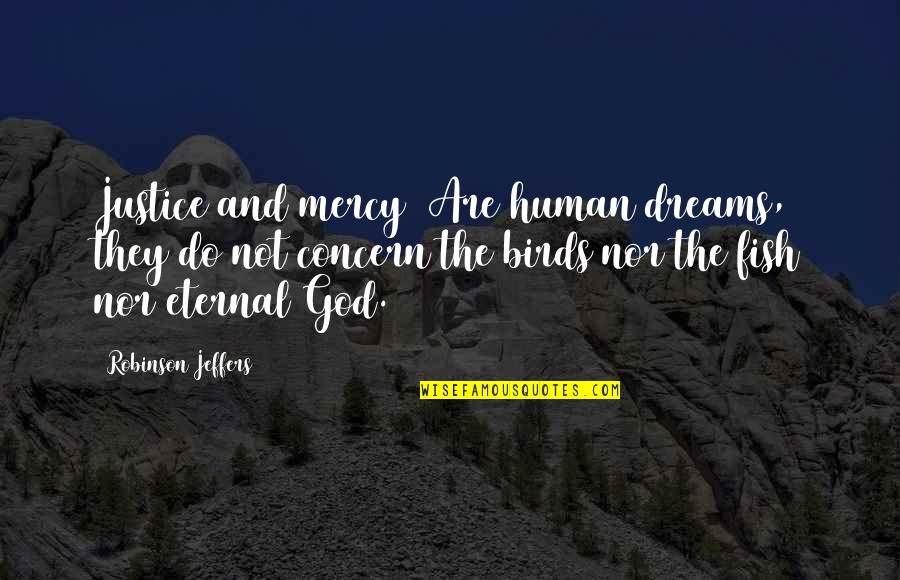 Human Justice Quotes By Robinson Jeffers: Justice and mercy/ Are human dreams, they do
