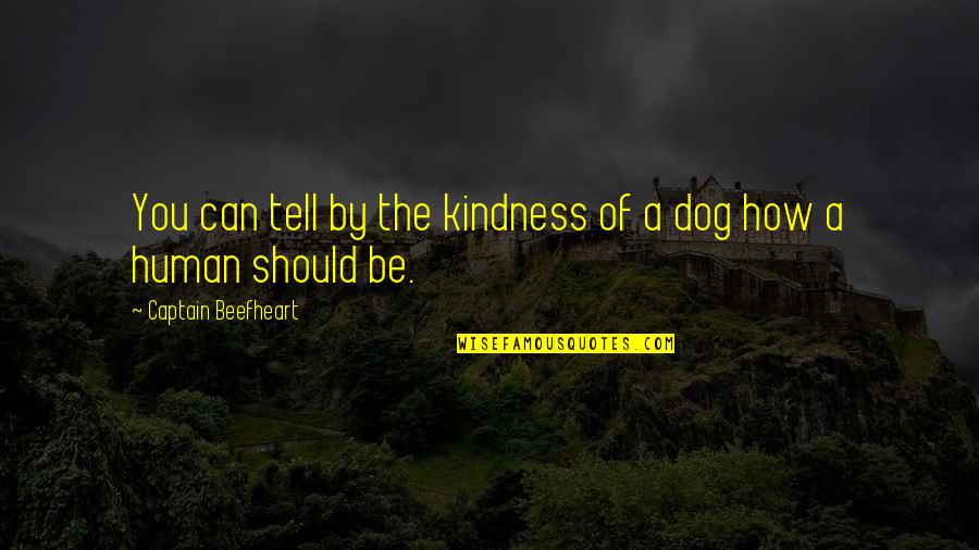 Human Kindness Quotes By Captain Beefheart: You can tell by the kindness of a