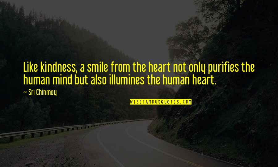 Human Kindness Quotes By Sri Chinmoy: Like kindness, a smile from the heart not
