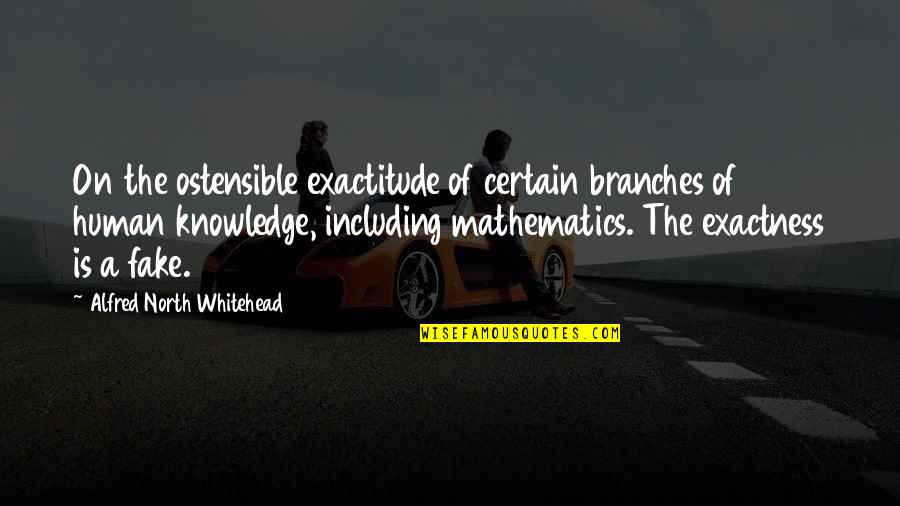 Human Knowledge Quotes By Alfred North Whitehead: On the ostensible exactitude of certain branches of Human Knowledge Quotes By Alfred North Whitehead: On the ostensible exactitude of certain branches of