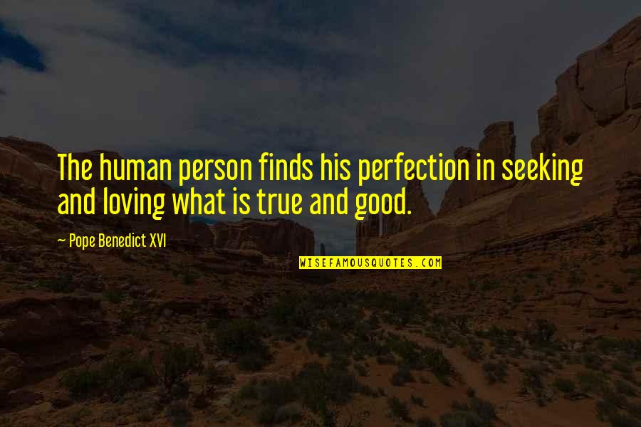 Human Life Quotes By Pope Benedict XVI: The human person finds his perfection in seeking