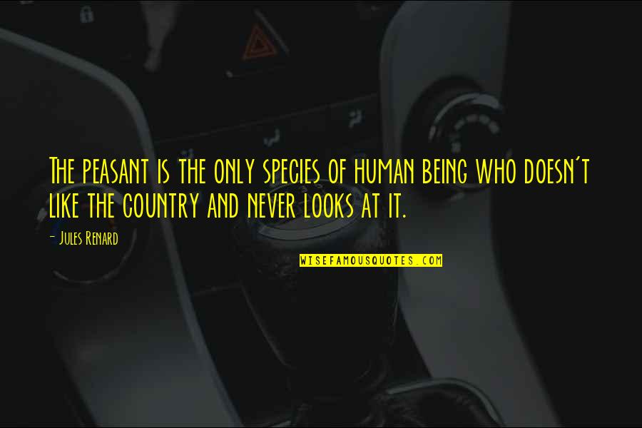 Human Like Quotes By Jules Renard: The peasant is the only species of human