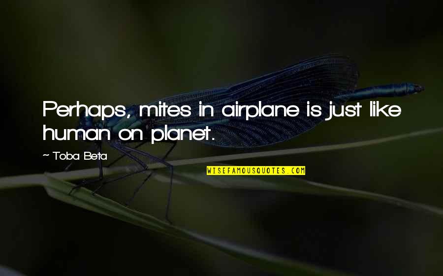 Human Like Quotes By Toba Beta: Perhaps, mites in airplane is just like human