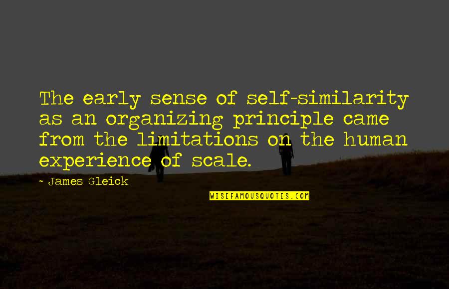 Human Limitations Quotes By James Gleick: The early sense of self-similarity as an organizing Human Limitations Quotes By James Gleick: The early sense of self-similarity as an organizing