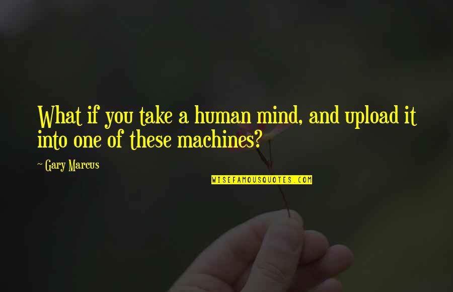Human Machines Quotes By Gary Marcus: What if you take a human mind, and