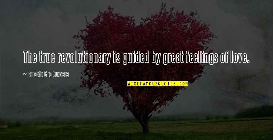 Human Mutation Quotes By Ernesto Che Guevara: The true revolutionary is guided by great feelings Human Mutation Quotes By Ernesto Che Guevara: The true revolutionary is guided by great feelings