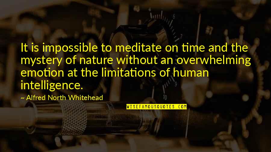 Human Nature And Power Quotes By Alfred North Whitehead: It is impossible to meditate on time and