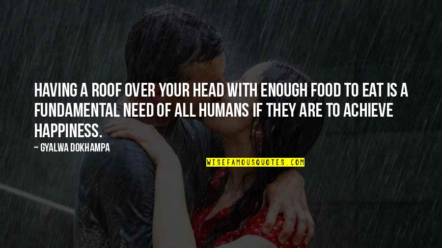 Human Needs Quotes By Gyalwa Dokhampa: Having a roof over your head with enough