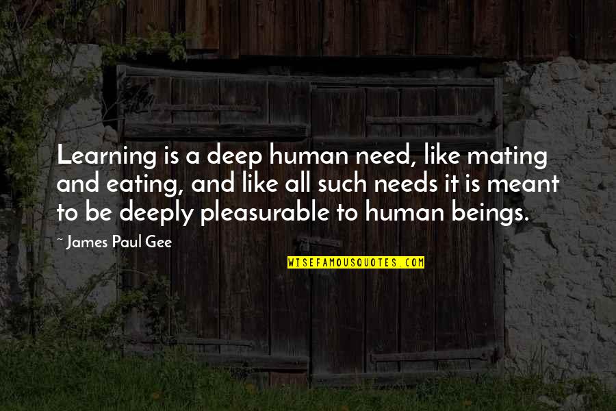 Human Needs Quotes By James Paul Gee: Learning is a deep human need, like mating