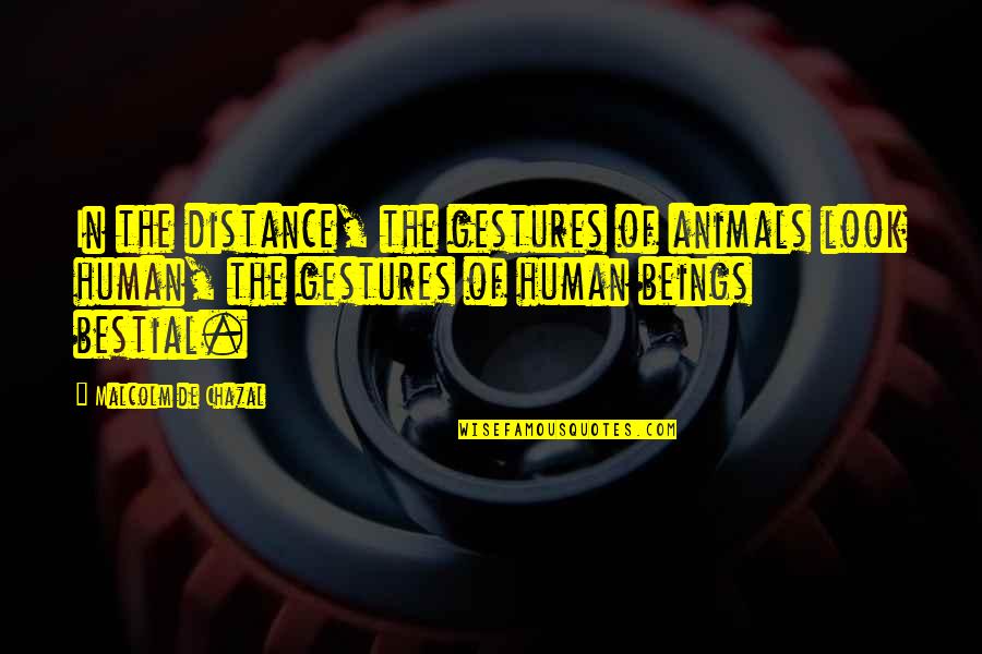 Human Of Quotes By Malcolm De Chazal: In the distance, the gestures of animals look Human Of Quotes By Malcolm De Chazal: In the distance, the gestures of animals look