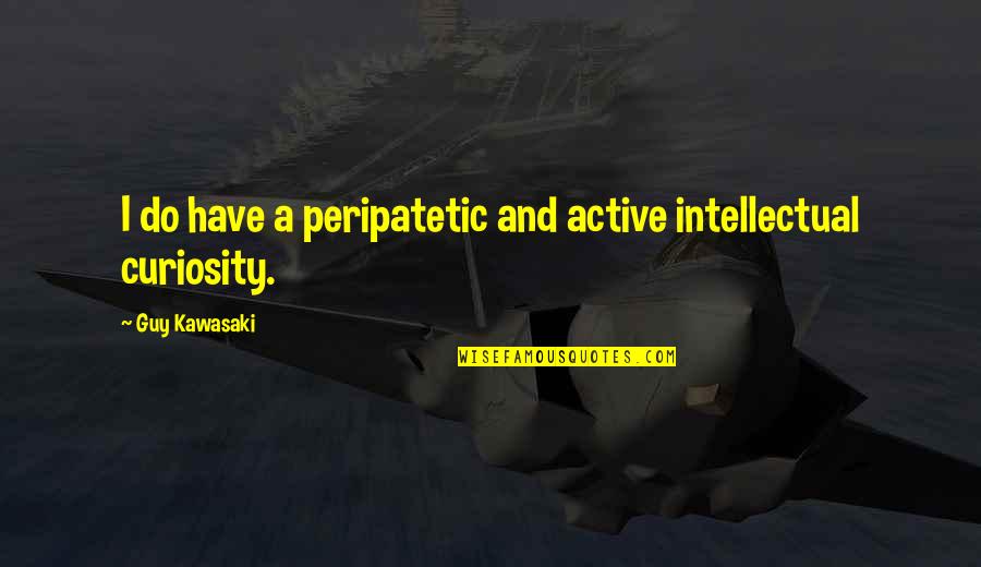 Human Peon Quotes By Guy Kawasaki: I do have a peripatetic and active intellectual