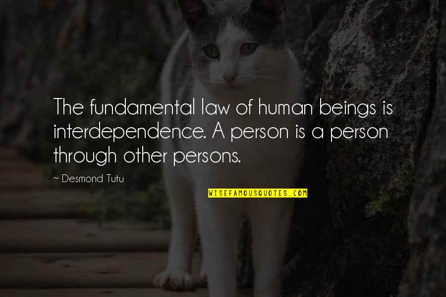 Human Person Quotes By Desmond Tutu: The fundamental law of human beings is interdependence.