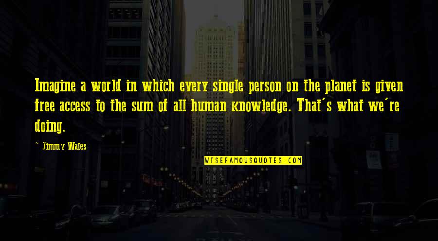 Human Person Quotes By Jimmy Wales: Imagine a world in which every single person