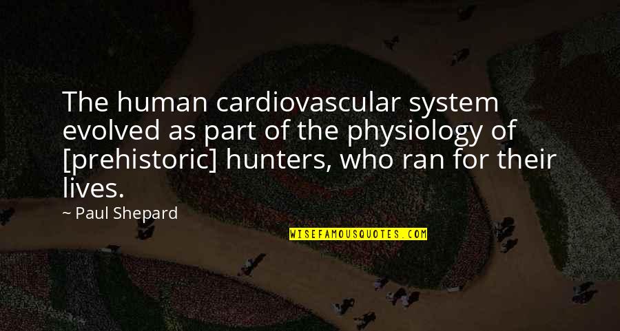 Human Physiology Quotes By Paul Shepard: The human cardiovascular system evolved as part of