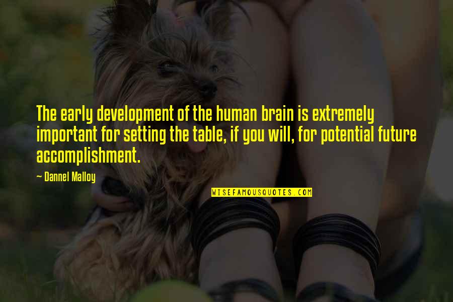 Human Potential Quotes By Dannel Malloy: The early development of the human brain is