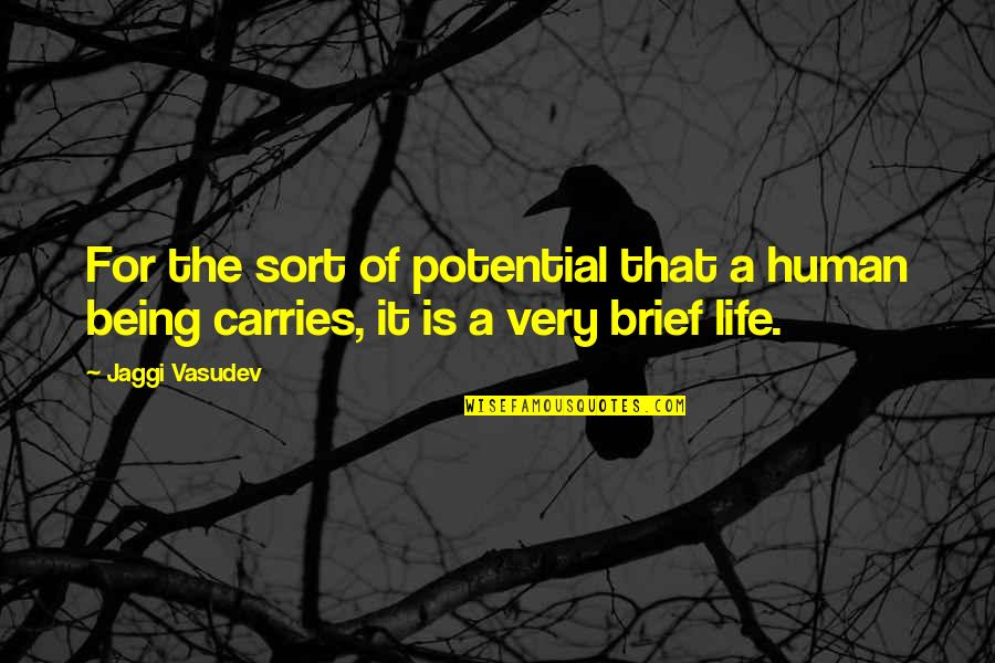 Human Potential Quotes By Jaggi Vasudev: For the sort of potential that a human