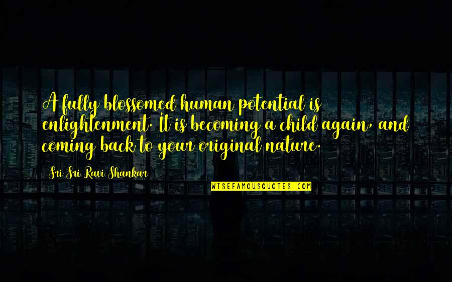 Human Potential Quotes By Sri Sri Ravi Shankar: A fully blossomed human potential is enlightenment. It
