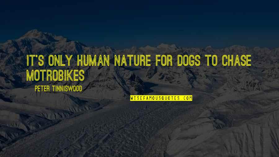 Human Quotes By Peter Tinniswood: It's only human nature for dogs to chase