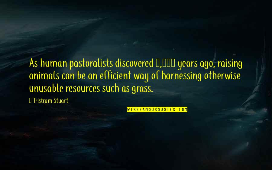 Human Resources Quotes By Tristram Stuart: As human pastoralists discovered 8,000 years ago, raising