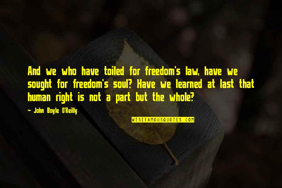 Human Rights And Freedom Quotes By John Boyle O'Reilly: And we who have toiled for freedom's law,