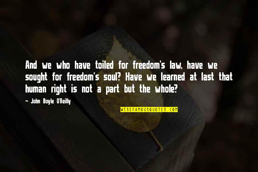 Human Rights Freedom Quotes By John Boyle O'Reilly: And we who have toiled for freedom's law,