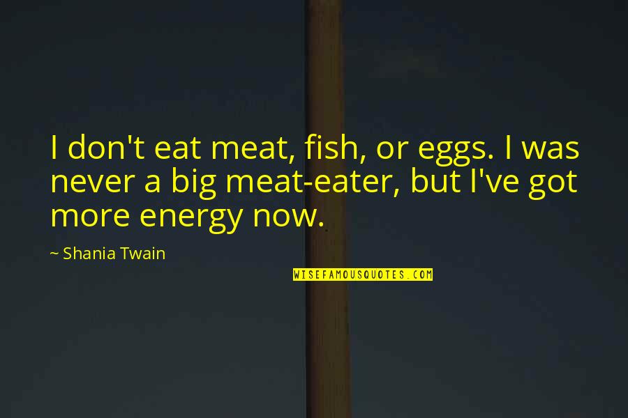 Human Rights Gandhi Quotes By Shania Twain: I don't eat meat, fish, or eggs. I