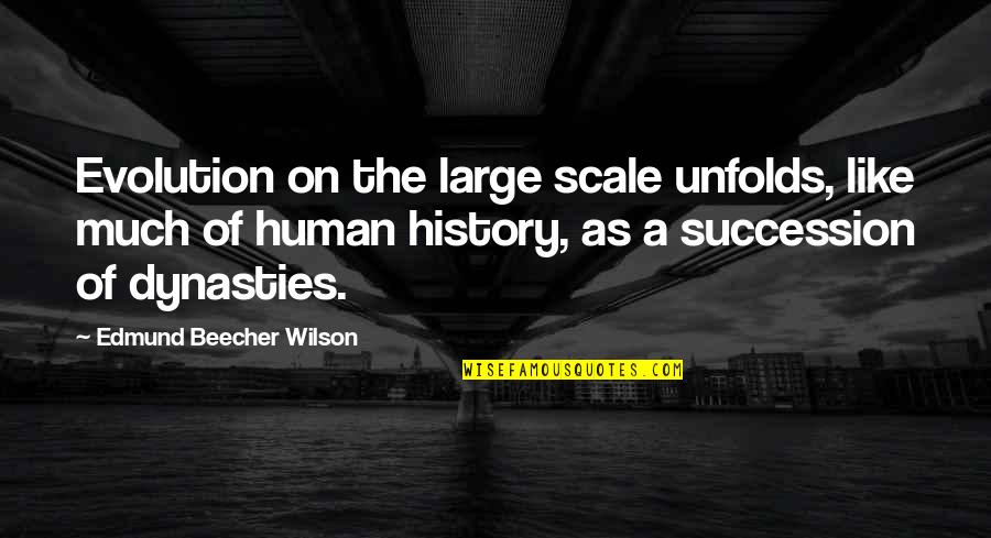 Human Scale Quotes By Edmund Beecher Wilson: Evolution on the large scale unfolds, like much Human Scale Quotes By Edmund Beecher Wilson: Evolution on the large scale unfolds, like much