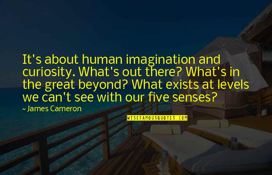 Human Senses Quotes By James Cameron: It's about human imagination and curiosity. What's out