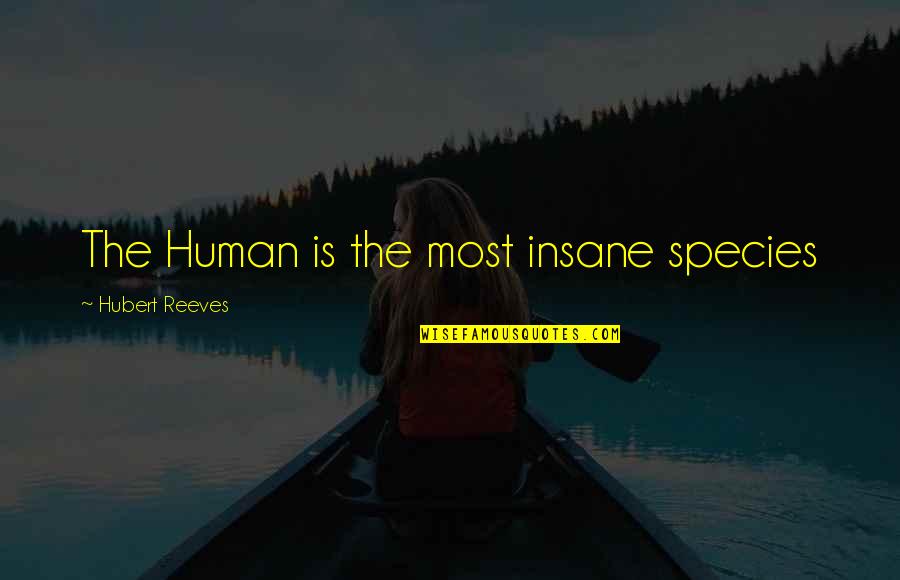 Human Species Quotes By Hubert Reeves: The Human is the most insane species