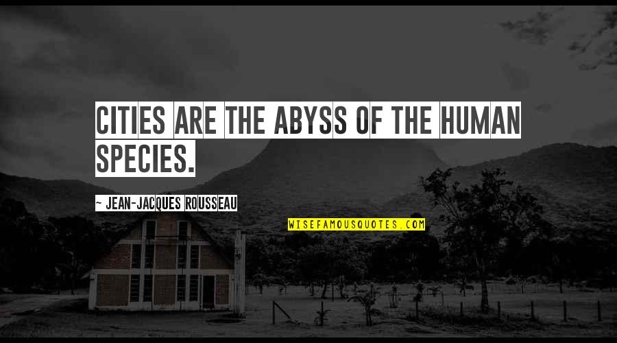 Human Species Quotes By Jean-Jacques Rousseau: Cities are the abyss of the human species.