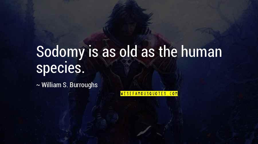 Human Species Quotes By William S. Burroughs: Sodomy is as old as the human species.