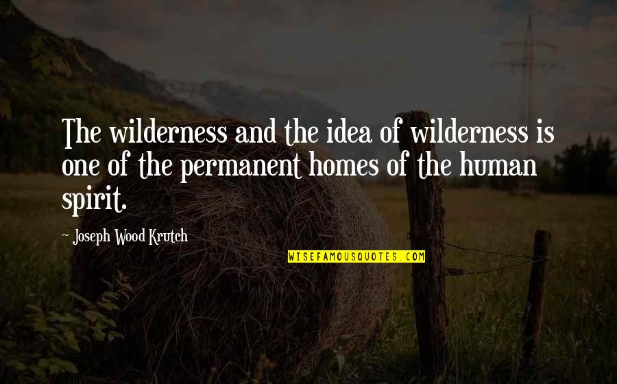 Human Spirit Quotes By Joseph Wood Krutch: The wilderness and the idea of wilderness is
