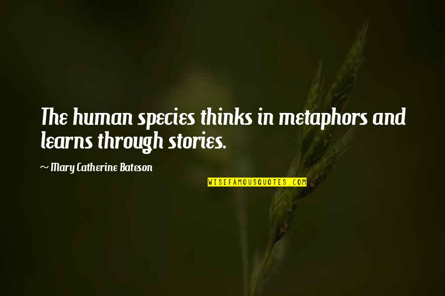 Human Stories Quotes By Mary Catherine Bateson: The human species thinks in metaphors and learns