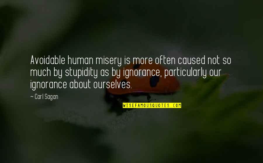 Human Stupidity Quotes By Carl Sagan: Avoidable human misery is more often caused not Human Stupidity Quotes By Carl Sagan: Avoidable human misery is more often caused not