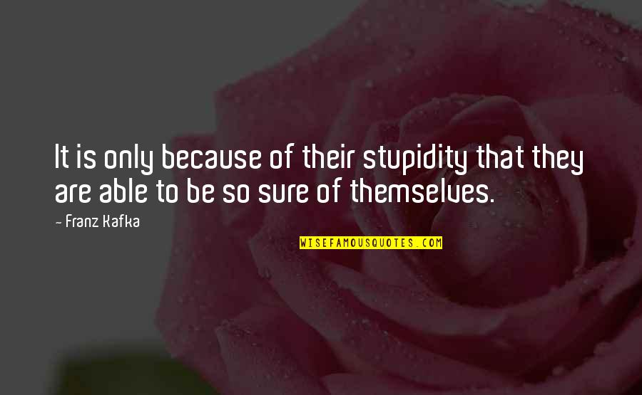 Human Stupidity Quotes By Franz Kafka: It is only because of their stupidity that